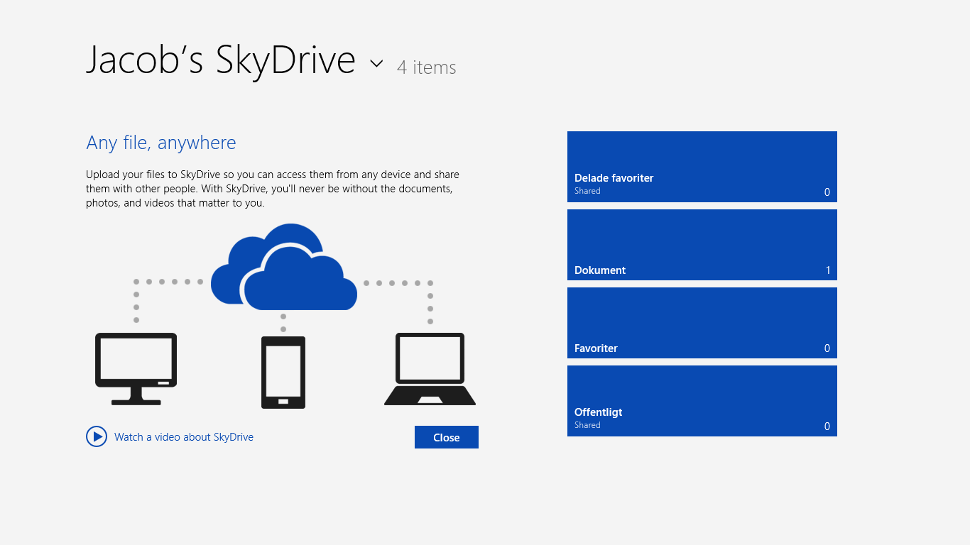 Skydrive1