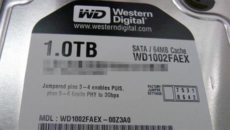 WD1002FAEX